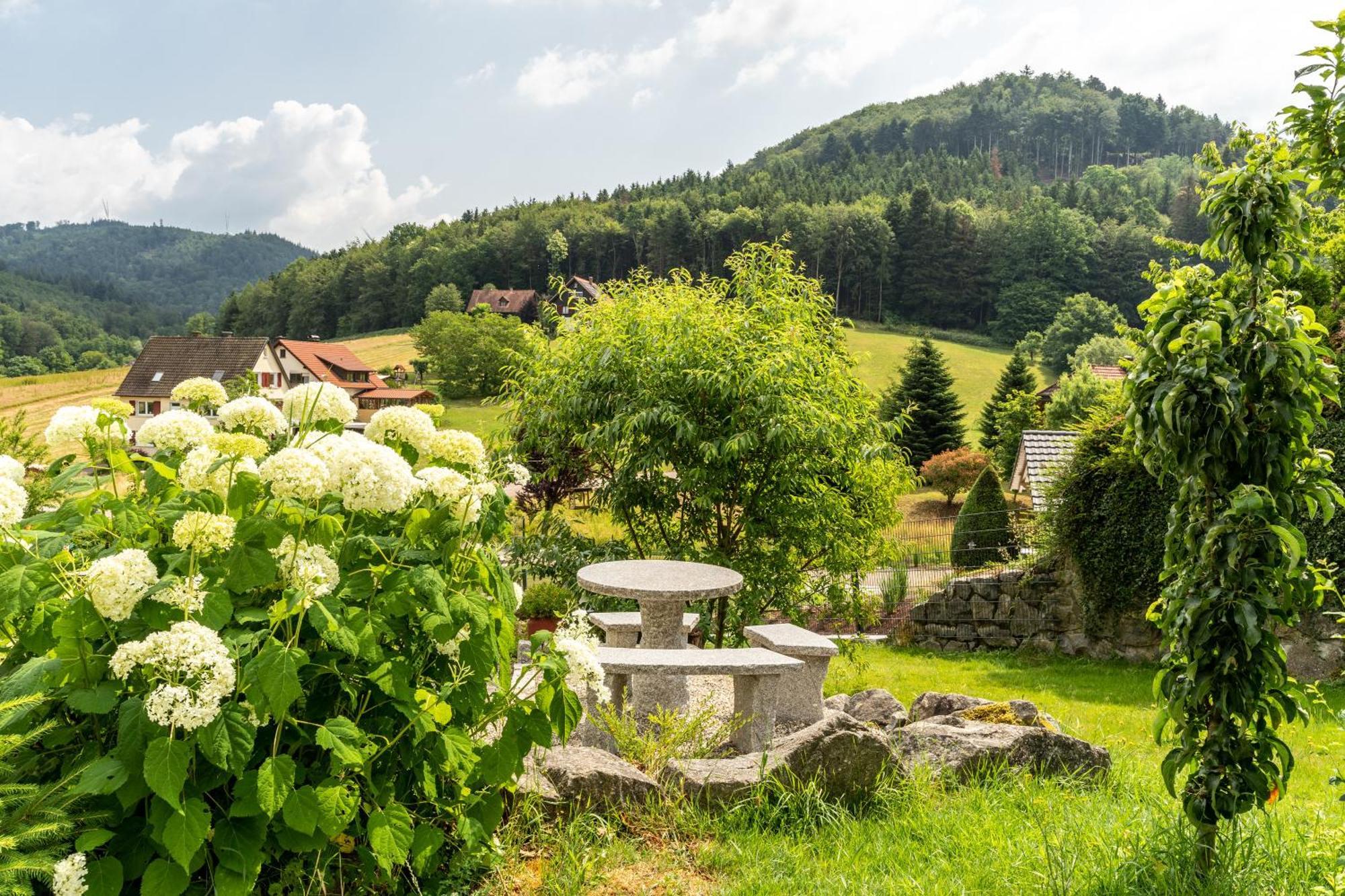 Haus 23 Lägenhet Ettenheim Exteriör bild